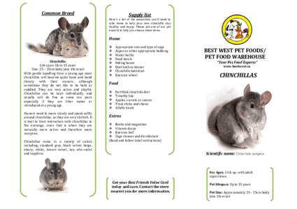 Common Breed  Supply list Here’s a list of the necessities you’ll need to take home to help your new chinchilla stay healthy and happy. Please ask one of our pet
