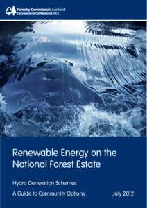 Renewable Energy on the National Forest Estate Hydro Generation Schemes A Guide to Community Options  July 2012