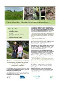 Planting For Giant Gippsland Earthworms Along Creeks  ALAN & BEV GREGG • Poowong • Retired dairy farmers • 400 acres