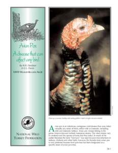 Avian Pox Adisease that can affect any bird By W.R. Davidson & G.L. Doster