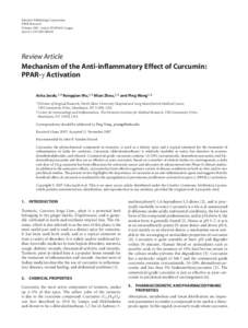 Mechanism of the Anti-inflammatory Effect of Curcumin: PPAR-  Activation