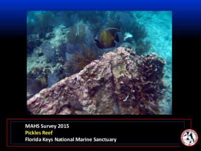 MAHS Survey 2015 Pickles Reef Florida Keys National Marine Sanctuary In June of 2015, MAHS returned to Pickles Reef in the Florida Keys National Marine Sanctuary off Key Largo.