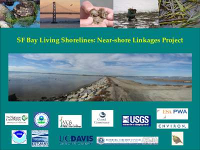 SF Bay Living Shorelines: Near-shore Linkages Project  Living Shorelines: East Coast and Gulf Coast Multiple Objectives • Link to Subtidal Habitat Goals