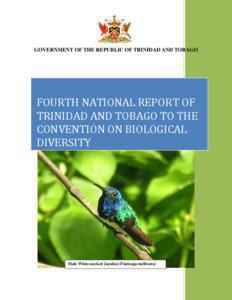 CBD Fourth National Report - Trinidad and Tobago (English version)