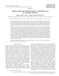 Annals of Botany 103: 655 –663, 2009 doi:aob/mcn127, available online at www.aob.oxfordjournals.org REVIEW  Indirect suppression of photosynthesis on individual leaves