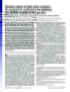 Dynamic control of slow water transport by aquaporin 0: Implications for hydration and junction stability in the eye lens Morten Ø. Jensen*, Ron O. Dror*, Huafeng Xu*, David W. Borhani*, Isaiah T. Arkin*†, Michael P. 
