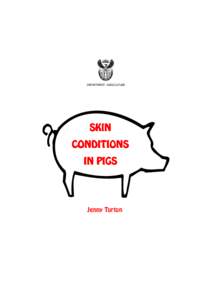 DEPARTMENT: AGRICULTURE  SKIN CONDITIONS IN PIGS