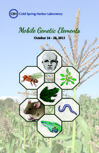 Mobile Genetic Elements October, 2013 Organizers:  Speakers