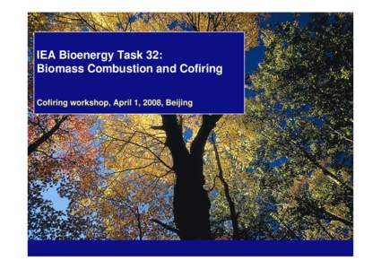 IEA Bioenergy Task 32: Biomass Combustion and Cofiring Cofiring workshop, April 1, 2008, Beijing Dust