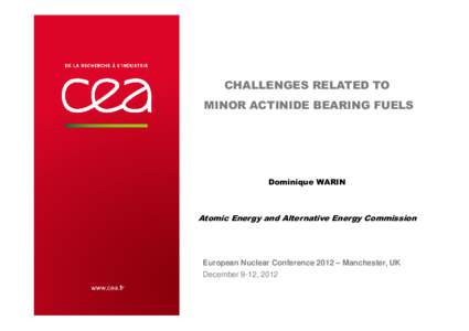 CHALLENGES RELATED TO MINOR ACTINIDE BEARING FUELS Dominique WARIN  Atomic Energy and Alternative Energy Commission