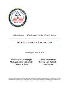Administrative Conference of the United States AGGREGATE AGENCY ADJUDICATION Final Report: June 9, 2016  Michael Sant’Ambrogio
