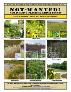 Caprifoliaceae / Invasive plant species / Flora of Lebanon / Botany / Flora / Biota / Cardamine / Dipsacus laciniatus / Dipsacus fullonum / Dipsacus / Miscanthus sinensis