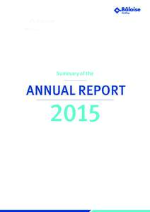 Summary of the  ANNUAL REPORT 2015