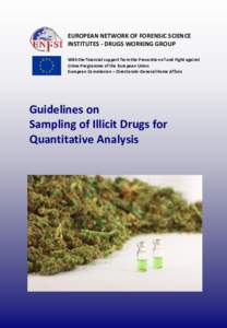 EUROPEAN NETWORK OF FORENSIC SCIENCE INSTITUTES - DRUGS WORKING GROUP With the financial support from the Prevention of and Fight against Crime Programme of the European Union European Commission – Directorate-General 