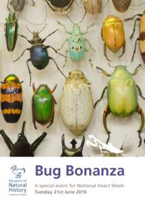 Bug Bonanza A special event for National Insect Week Tuesday 21st June 2016 Bug Bonanza Tuesday 21st June 2016
