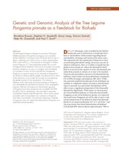 special submissions  Genetic and Genomic Analysis of the Tree Legume Pongamia pinnata as a Feedstock for Biofuels Bandana Biswas, Stephen H. Kazakoff, Qunyi Jiang, Sharon Samuel, Peter M. Gresshoff, and Paul T. Scott*
