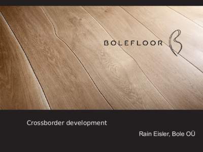 Crossborder development Rain Eisler, Bole OÜ BOLEFLOOR  Airbus A 380 lounge at Frankfurt Airport