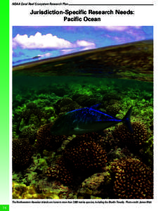 NOAA Coral Reef Ecosystem Research Plan  Jurisdiction-Specific Research Needs: Pacific Ocean  The Northwestern Hawaiian Islands are home to more than 7,000 marine species, including the Bluefin Trevally. Photo credit: Ja