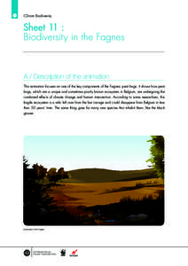 CD-rom Biodiversity  Sheet 11 : Biodiversity in the Fagnes  A / Description of the animation