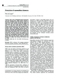 ã  Oncogene[removed], 532 ± [removed]Nature Publishing Group All rights reserved 0950 ± [removed] $25.00 www.nature.com/onc