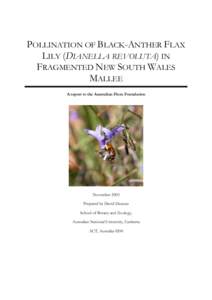 POLLINATION OF BLACK-ANTHER FLAX LILY (DIANELLA REVOLUTA) IN FRAGMENTED NEW SOUTH WALES MALLEE A report to the Australian Flora Foundation