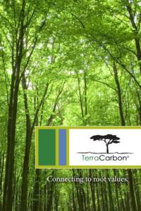Connecting to root values.  At TerraCarbon, we believe forests and market-based solutions are critical to addressing climate change, improving water quality, protecting biodiversity, and alleviating poverty. TerraCarbon