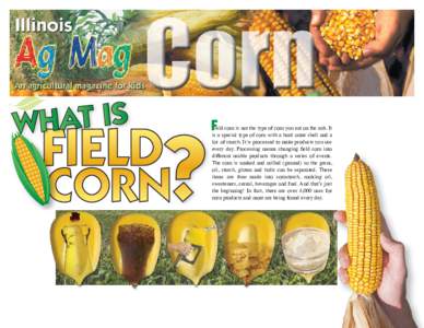 F  ield corn is not the type of corn you eat on the cob. It is a special type of corn with a hard outer shell and a lot of starch. It is processed to make products you use every day. Processing means changing field corn 