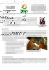 BUSHMEAT | RAINFOREST | TIGER | SHELLSHOCK | RHINO | MADAGASCAR | AMPHIBIAN | CARNIVORE | APE  EAZA Tiger Campaign