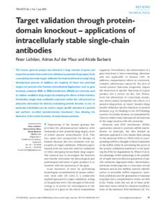 Immune system / Molecular biology / Immunology / RNA / Biotechnology / Antibody / Intrabody / Single-chain variable fragment / Small interfering RNA / RNA interference / Monoclonal antibody / Gcn4