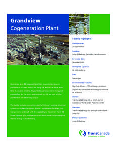 Grandview Cogeneration Plant Facility Highlights Configuration: 2x cogeneration. Location: