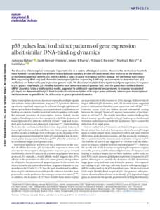 articles  © 2017 Nature America, Inc., part of Springer Nature. All rights reserved. p53 pulses lead to distinct patterns of gene expression albeit similar DNA-binding dynamics