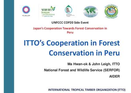 UNFCCC and Tropical Forests