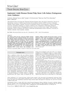 TISSUE-SPECIFIC STEM CELLS Implanted Adult Human Dental Pulp Stem Cells Induce Endogenous Axon Guidance AGNIESZKA ARTHUR,a SONGTAO SHI,b ANDREW C. W. ZANNETTINO,c NOBUTAKA FUJII,d STAN GRONTHOS,a SIMON A. KOBLARe,f a