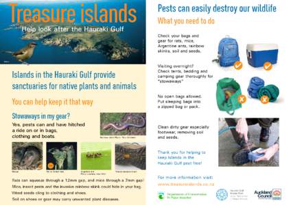 Treasure islands  Pests can easily destroy our wildlife What you need to do Photo: Courtesy of ARC / A Jamieson