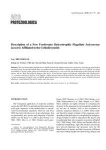 Acta Protozool[removed]: [removed]Description of a New Freshwater Heterotrophic Flagellate Sulcomonas