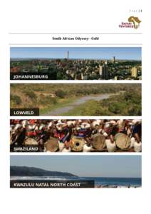 Page |1  South African Odyssey - Gold Page |2
