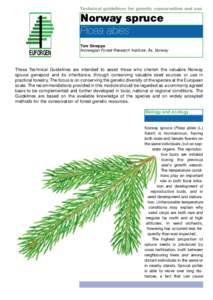 Technical guidelines for genetic conservation and use  Norway spruce Picea abies EUFORGEN