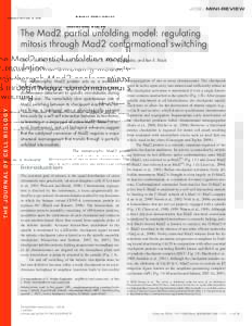 JCB: MINI-REVIEW  Published November 24, 2008 The Mad2 partial unfolding model: regulating mitosis through Mad2 conformational switching