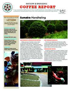 ­  FROM THE COFFEE COLLECTION Sumatra Mandheling
