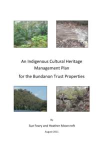 Front cover images Top left: Burrawangs at Riversdale – an important traditional food source for Indigenous people. Photo: S Feary Top right: Axe grinding grooves at Eearie Park. Photo: J Walliss Bottom left: Pulpit R