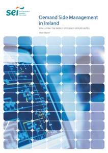 Demand Side Management in Ireland EVALUATING THE ENERGY EFFICIENCY OPPORTUNITIES Main Report  Demand Side Management in Ireland
