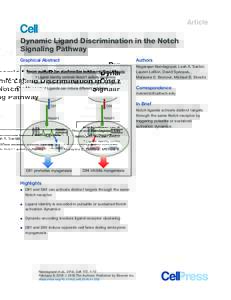 Article  Dynamic Ligand Discrimination in the Notch Signaling Pathway Graphical Abstract