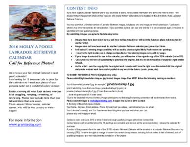 CONTEST INFO If you have a great Labrador Retriever photo you would like to share, here is some information and terms you need to know. I will choose thirteen images from photo entries received and create thirteen waterc