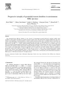 Journal of Neuroimmunology 87 Ž–170  Progressive atrophy of pyramidal neuron dendrites in autoimmune MRL-lpr mice ˇ ´ Boris Sakic