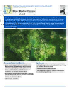 PUGET SOUND NEARSHORE ECOSYSTEM RESTORATION PROJECT (PSNERP) TENTATIVELY SELECTED PLAN Deer Harbor Estuary  IMAGE: Google Earth (2011)