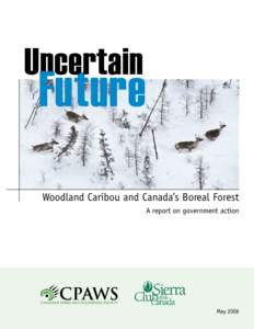 Uncertain  FFuture Woodland Caribou and Canada’s Boreal Forest A report on government action