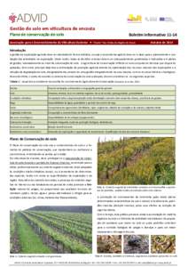 Gestão do solo em vicultura de encosta Plano de conservação do solo Bolem InformavoAssociação para o Desenvolvimento da Vicultura Duriense • “Cluster” dos Vinhos da Região do Douro