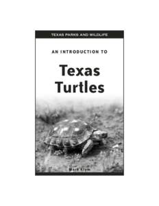 An Introduction to Texas Turtles