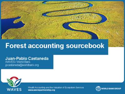 Forest accounting sourcebook Juan-Pablo Castaneda WAVES / World Bank   Wealth Accounting and the Valuation of Ecosystem Services