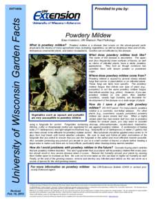 Microsoft Word - Powdery Mildew _Vegetables_.doc